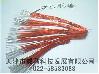 【脫漆劑】"不脫漆，何以蛻變？"